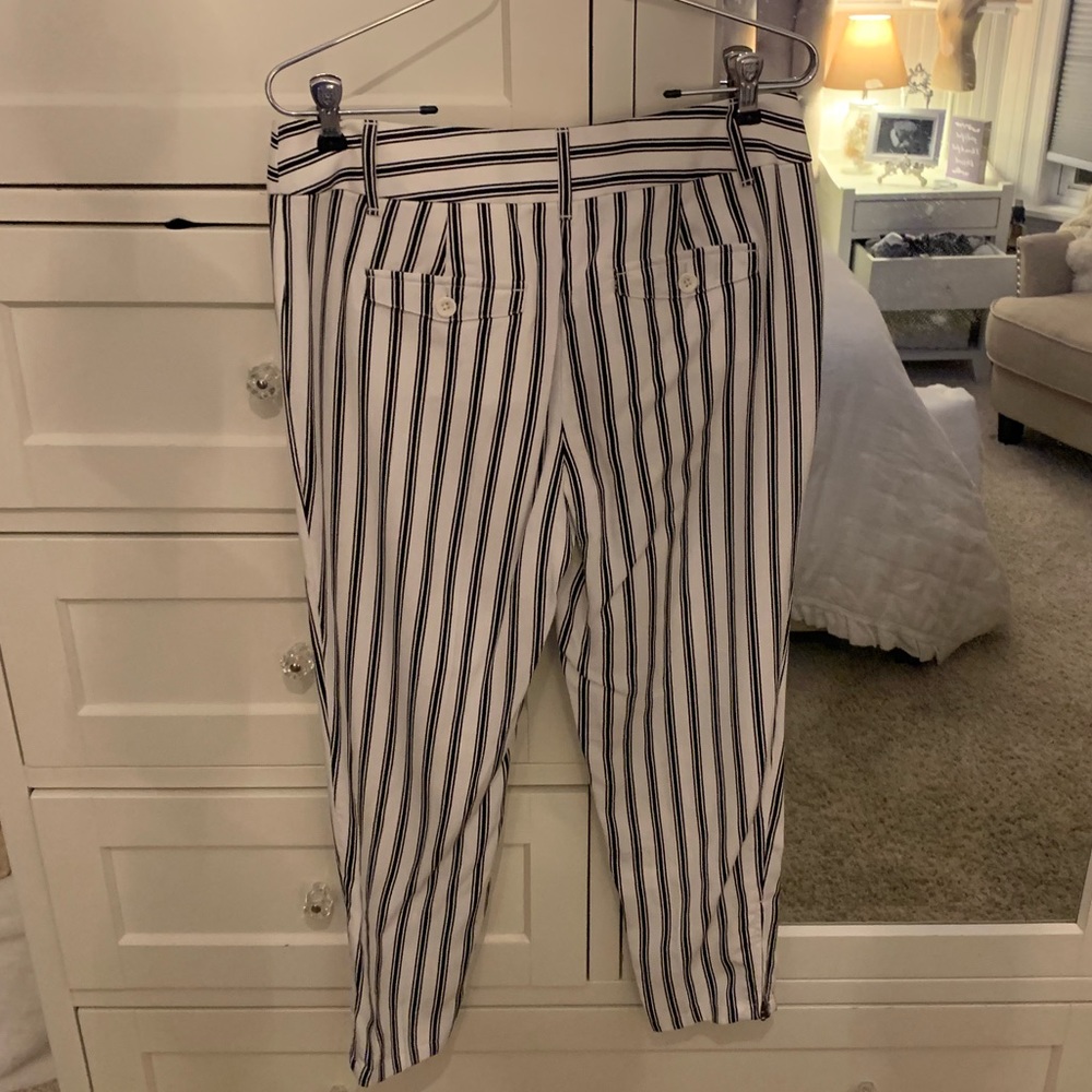 NEW Loft Dress Pants - Picture 2 of 4